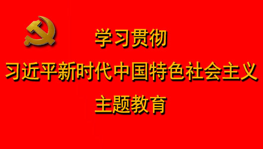 “学习贯彻习近平新时代中国特色社会主义思想主题教育”专栏